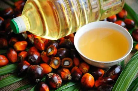 gi&aacute; dầu cọ h&ocirc;m nay 