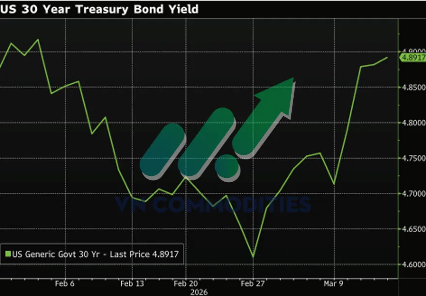 thị trường h&agrave;ng h&oacute;a 