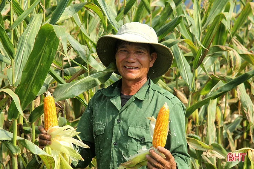 n&ocirc;ng sản 