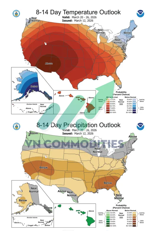 gi&aacute; đậu tương 