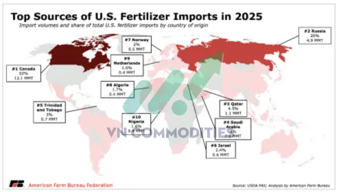 ph&acirc;n b&oacute;n 