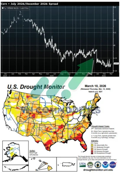 gi&aacute; ng&ocirc; 
