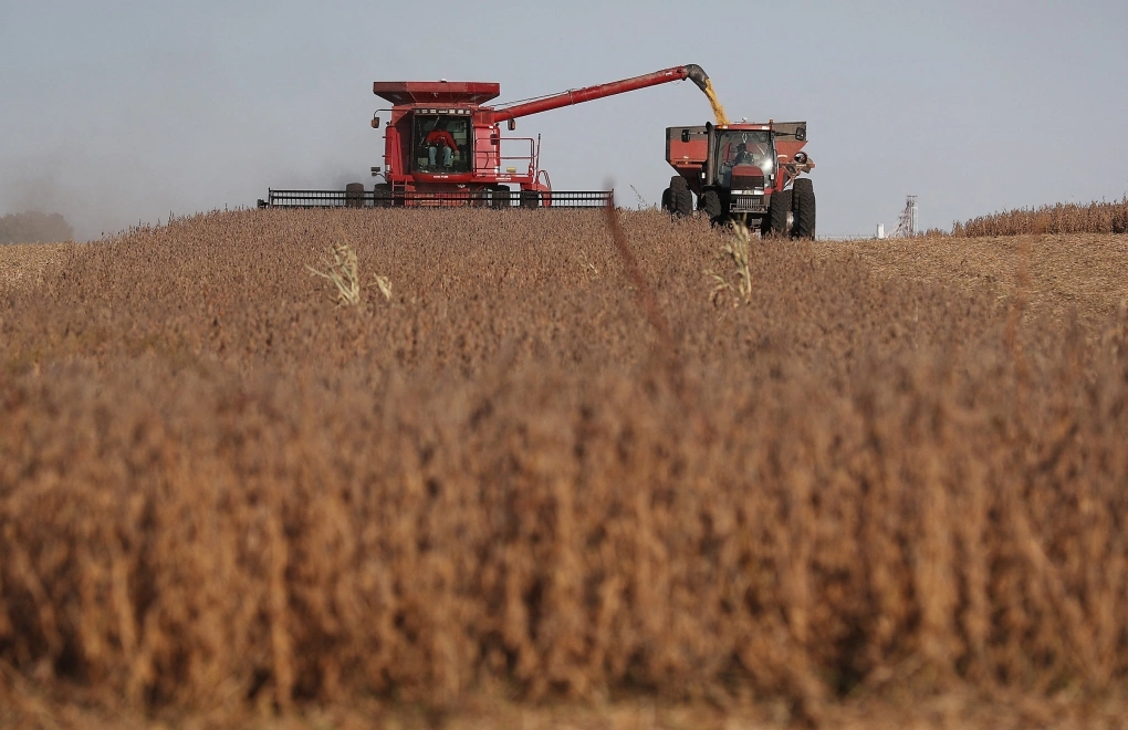 N&ocirc;ng d&acirc;n thu hoạch đậu n&agrave;nh tr&ecirc;n một c&aacute;nh đồng ở Rippey, Mỹ