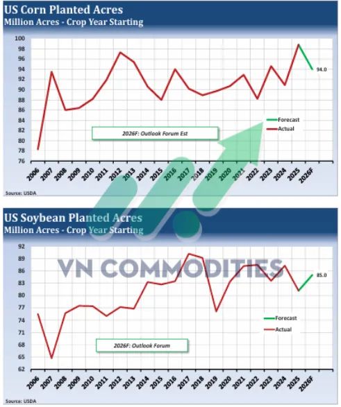 Xu hướng diện tích gieo trồng ngô và đậu tương Mỹ