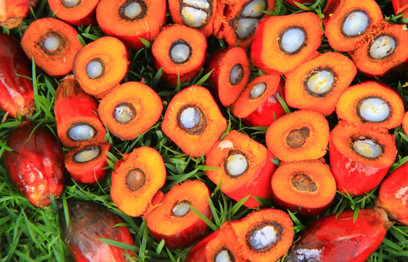 Giá dầu cọ Malaysia tăng nhẹ trên 4.100 RM mỗi tấn nhờ xuất khẩu cải thiện và tác động tích cực từ thị trường dầu ăn, dù nguồn cung lớn vẫn gây áp lực.