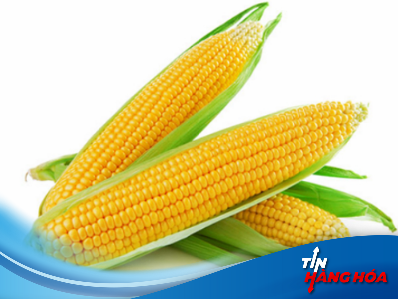 Hợp đồng tương lai ng&ocirc;, bắp