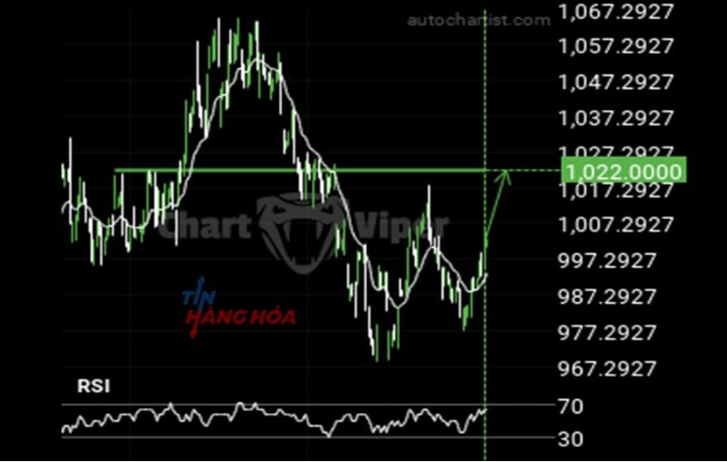 bi&ecirc;̉u đ&ocirc;̀ 1/11