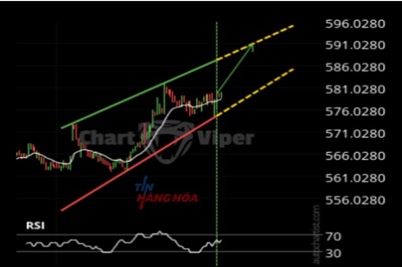 bi&ecirc;̉u đ&ocirc;̀ 1/11