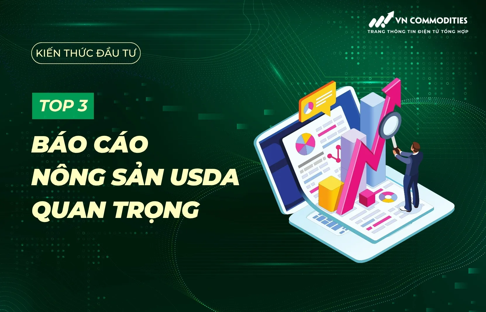 B&aacute;o c&aacute;o n&ocirc;ng sản USDA l&agrave; g&igrave; 
