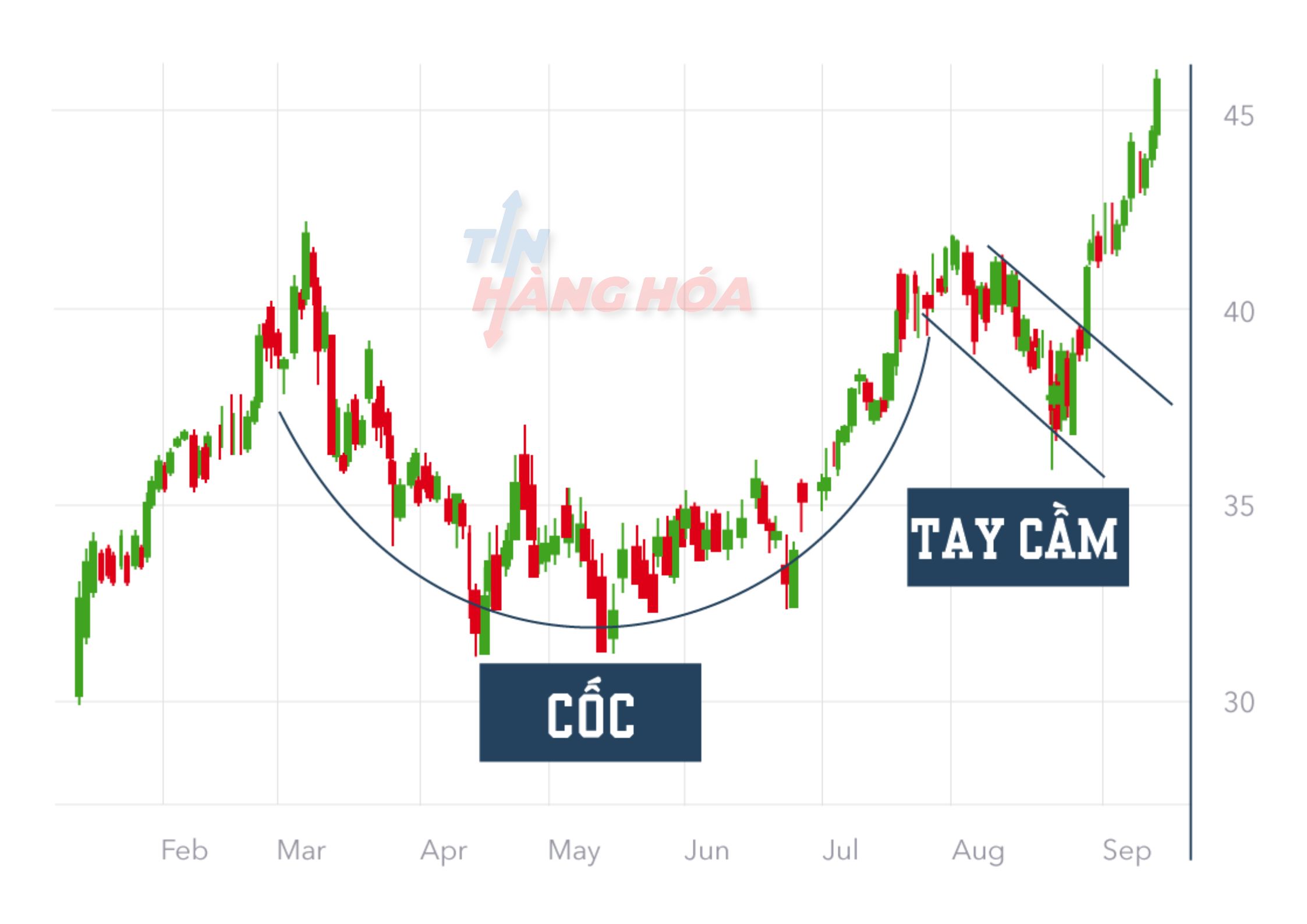 Thành phần cấu thành mô hình cốc tay cầm