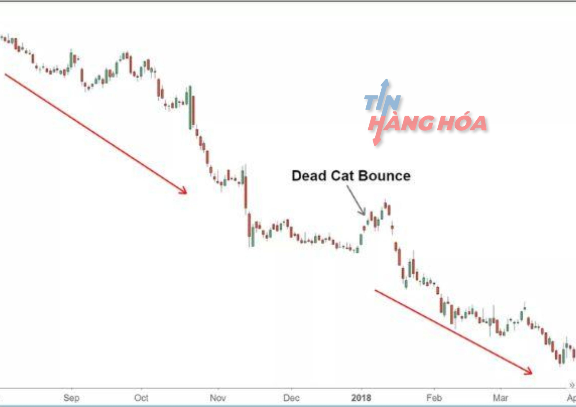 Đặc điểm của m&ocirc; h&igrave;nh c&uacute; nảy m&egrave;o chết