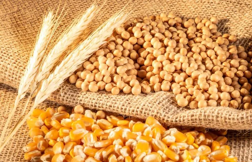 Mối tương quan giữa gi&aacute; l&uacute;a m&igrave; với c&aacute;c n&ocirc;ng sản kh&aacute;c