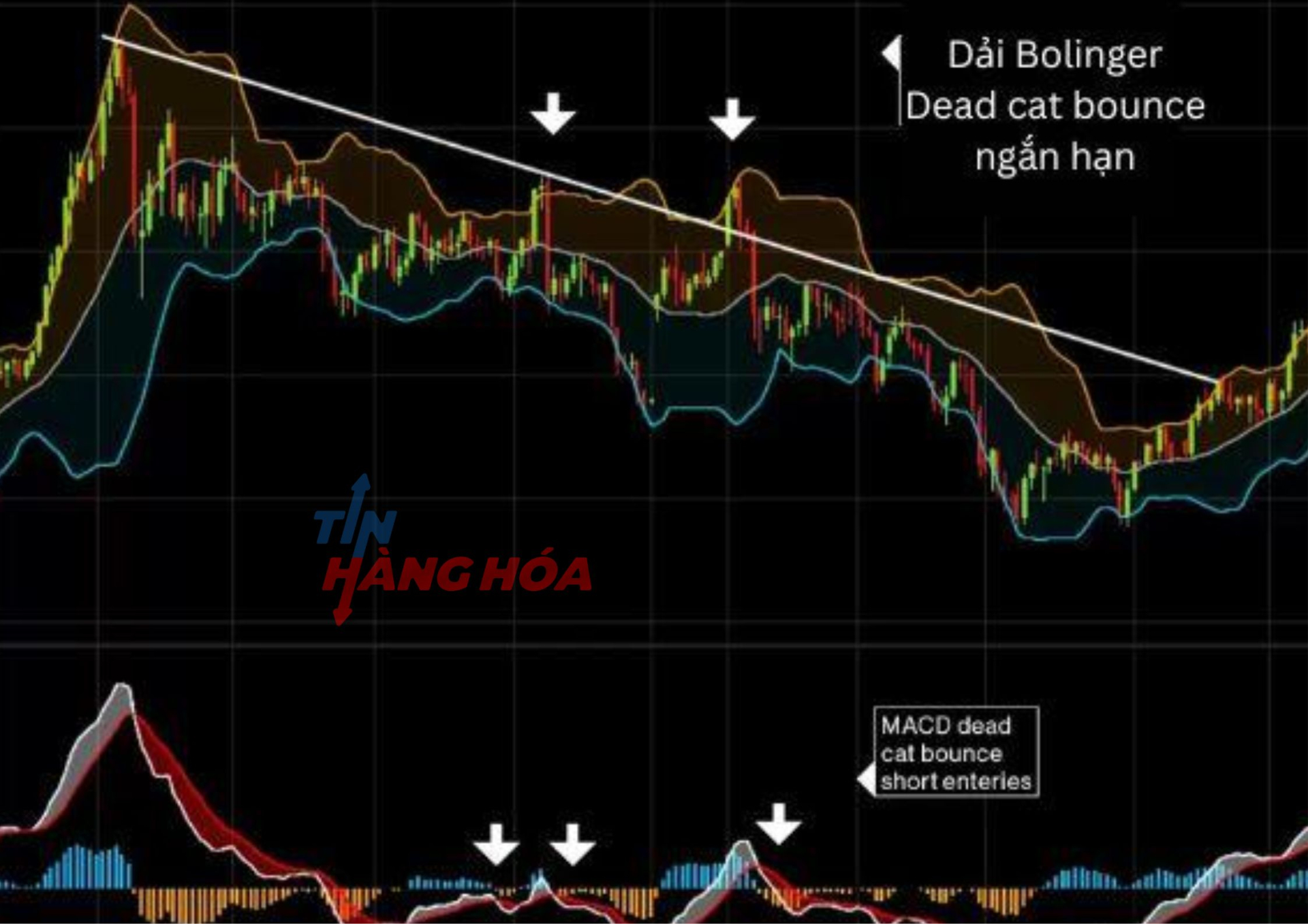V&agrave;o lệnh theo xu hướng của thị trường 