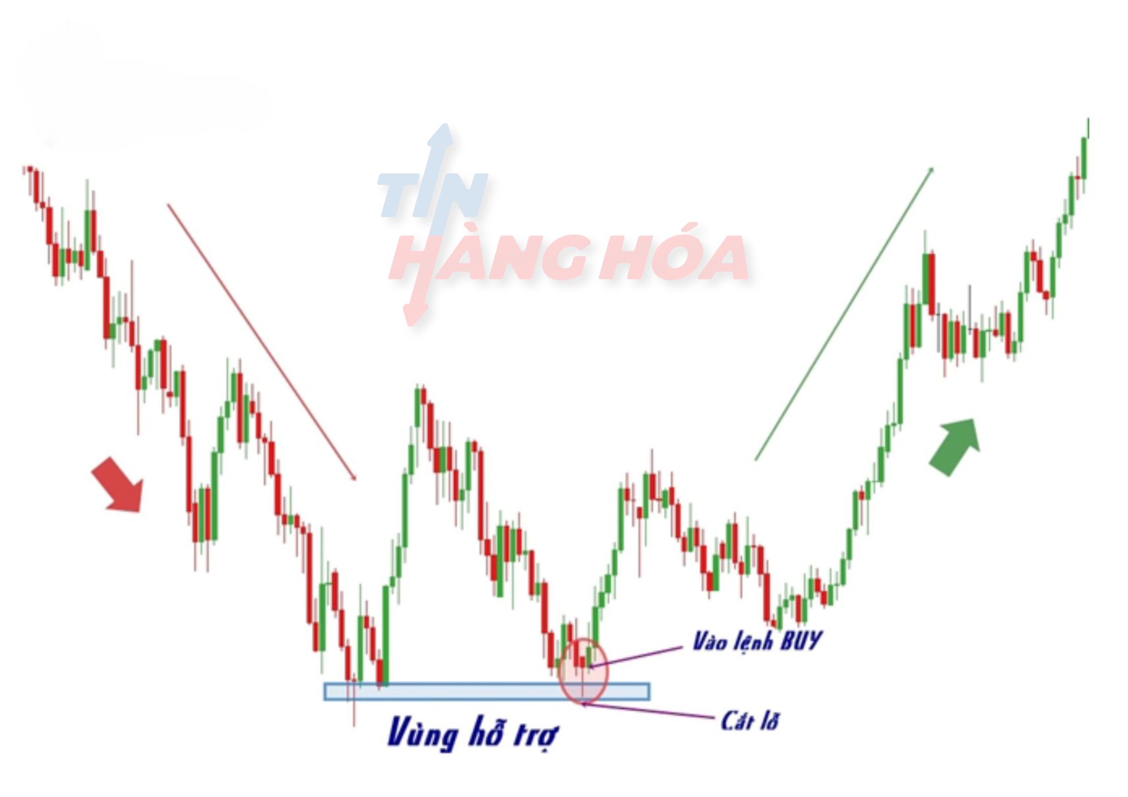 sử dụng nến hammer kết hợp với v&ugrave;ng hỗ trợ
