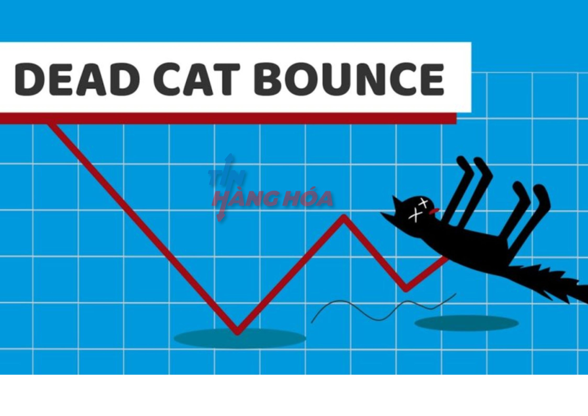 M&ocirc; h&igrave;nh c&uacute; nảy m&egrave;o chết