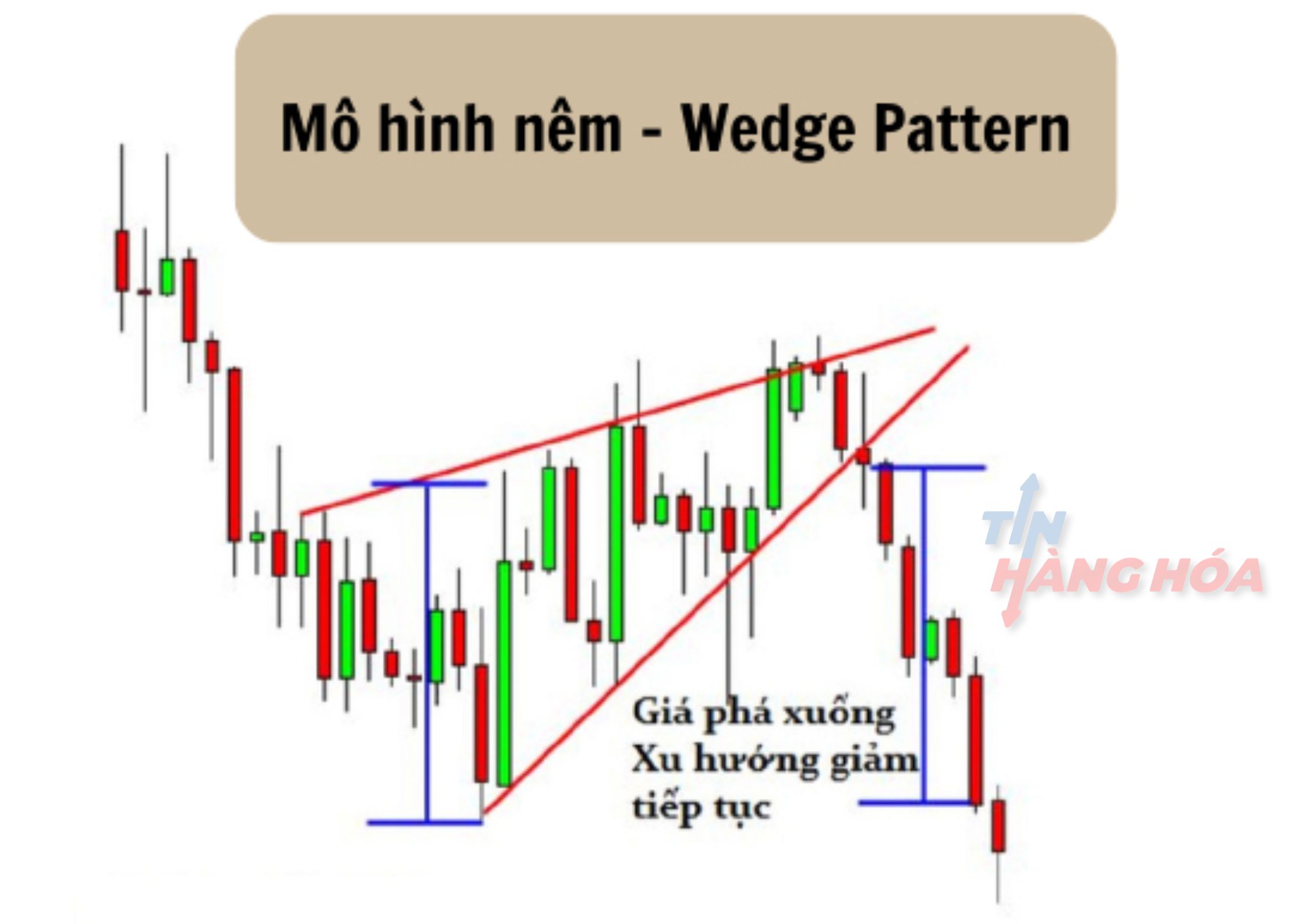 M&ocirc; h&igrave;nh c&aacute;i n&ecirc;m