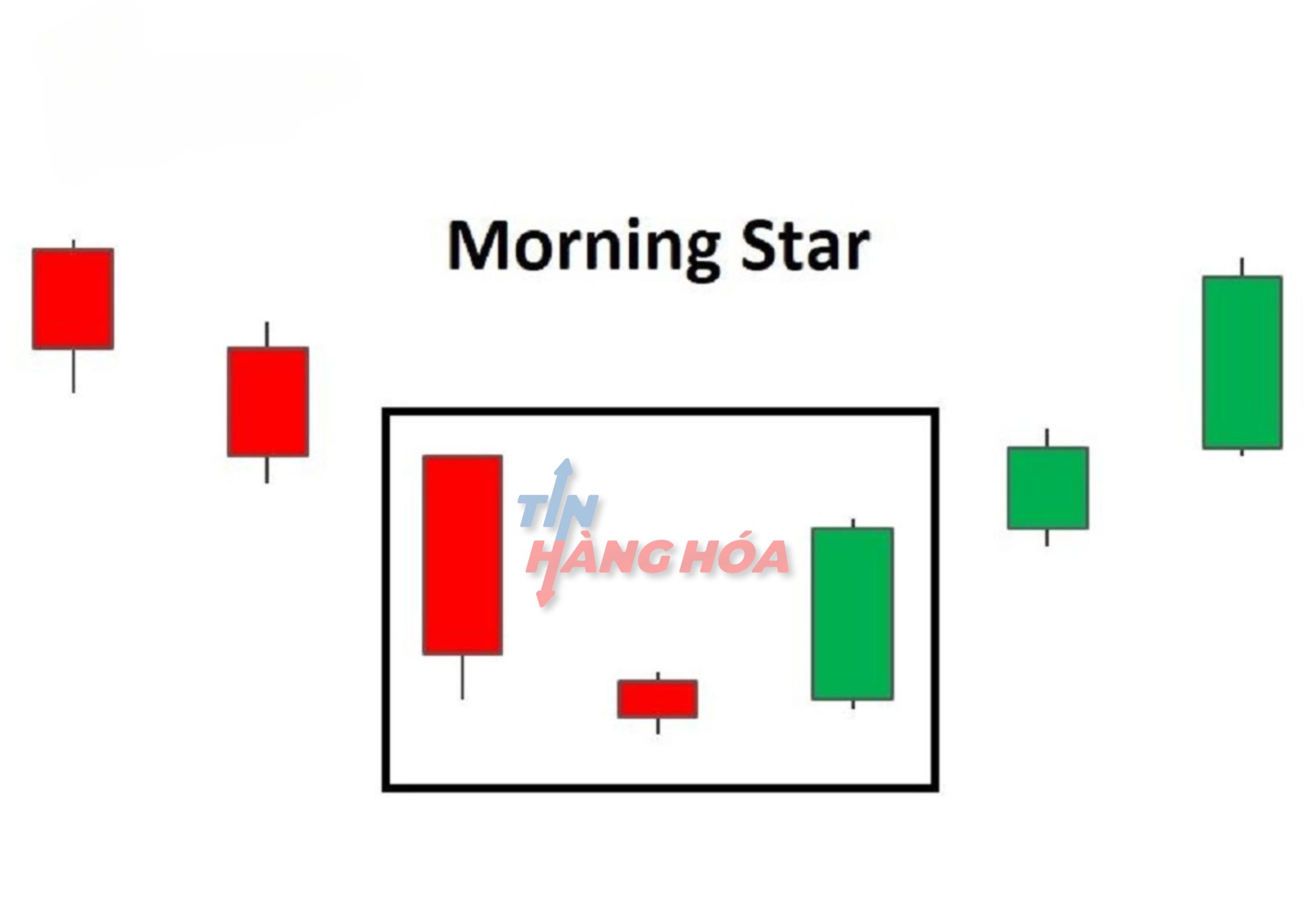 M&ocirc; h&igrave;nh nến morning star