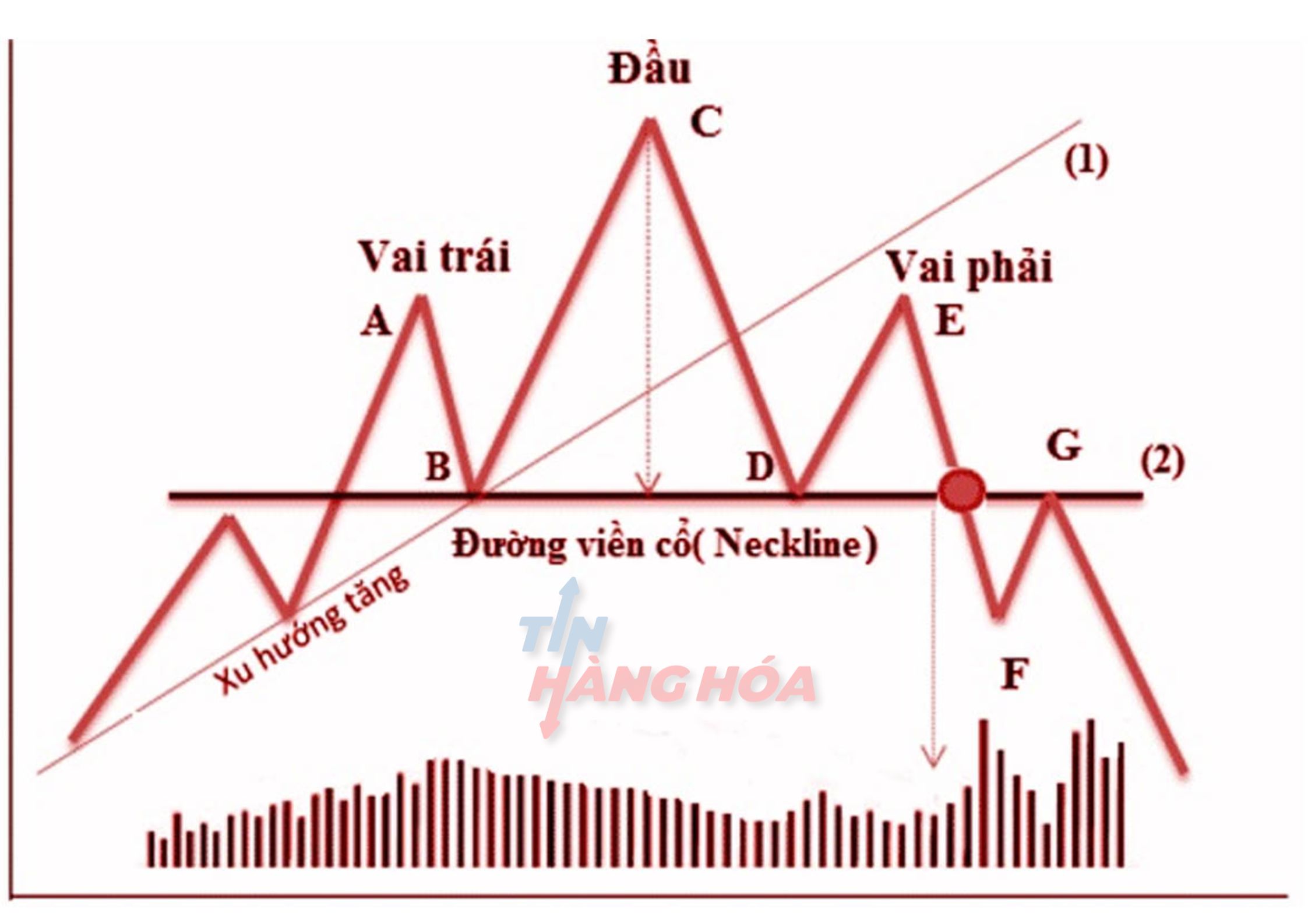 M&ocirc; h&igrave;nh vai đầu vai