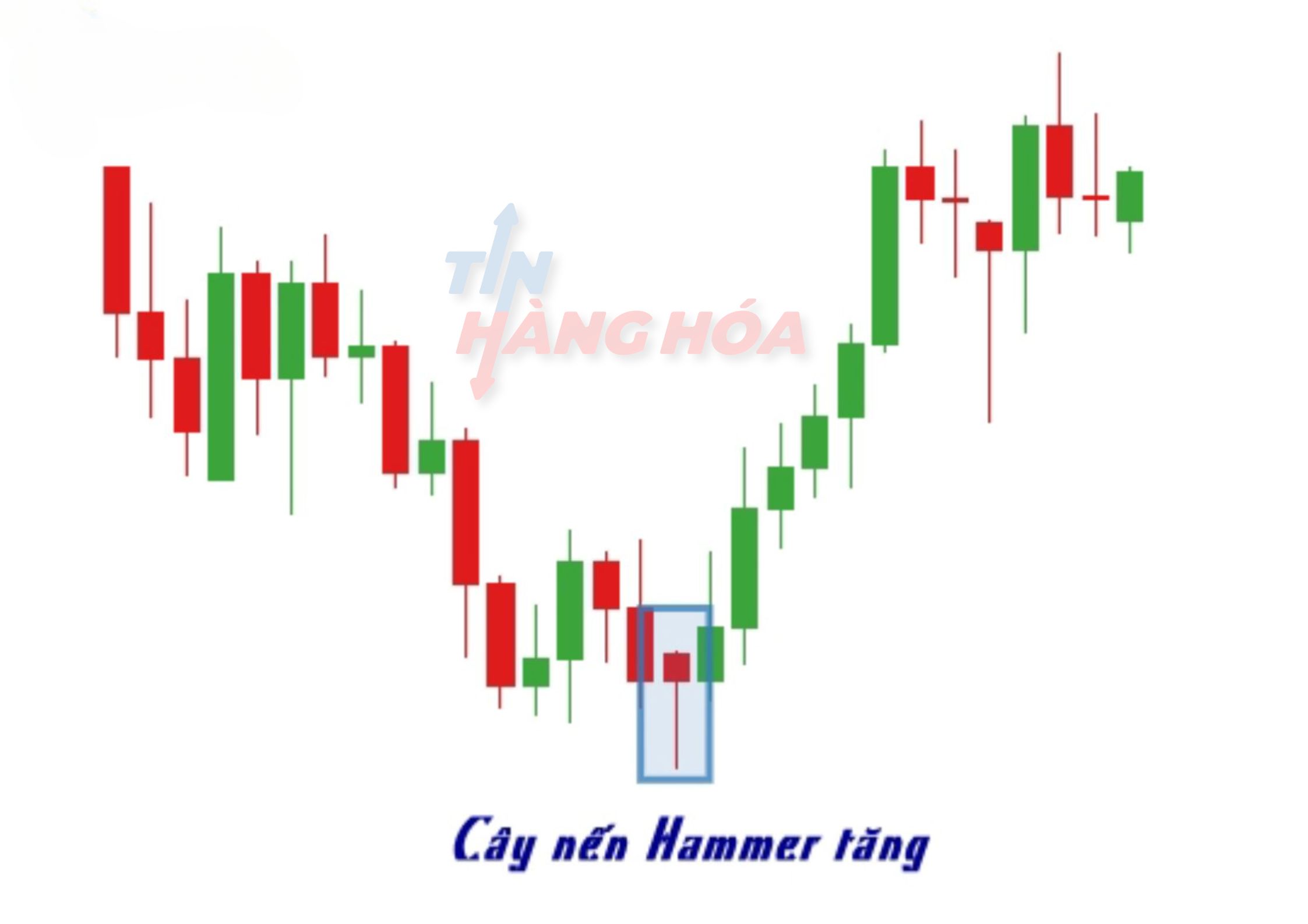 m&ocirc; h&igrave;nh nến hammer tăng