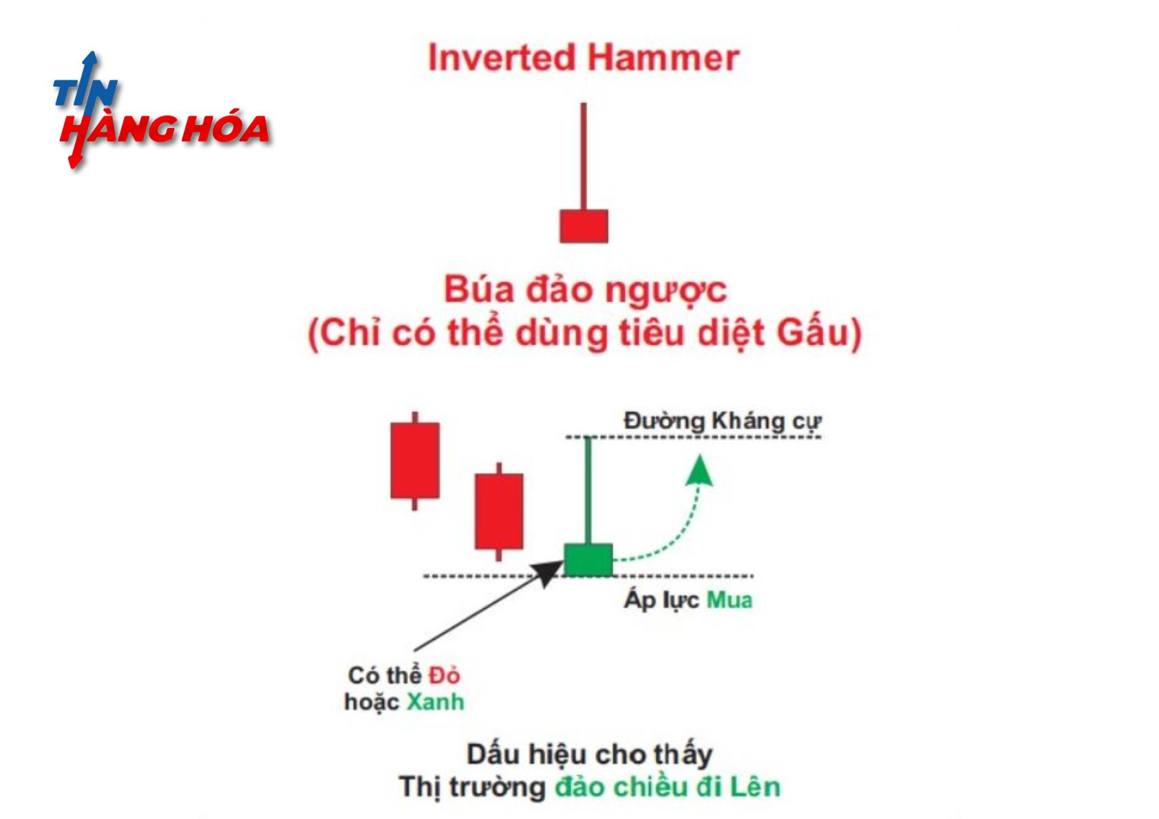 M&ocirc; h&igrave;nh nến b&uacute;a ngược