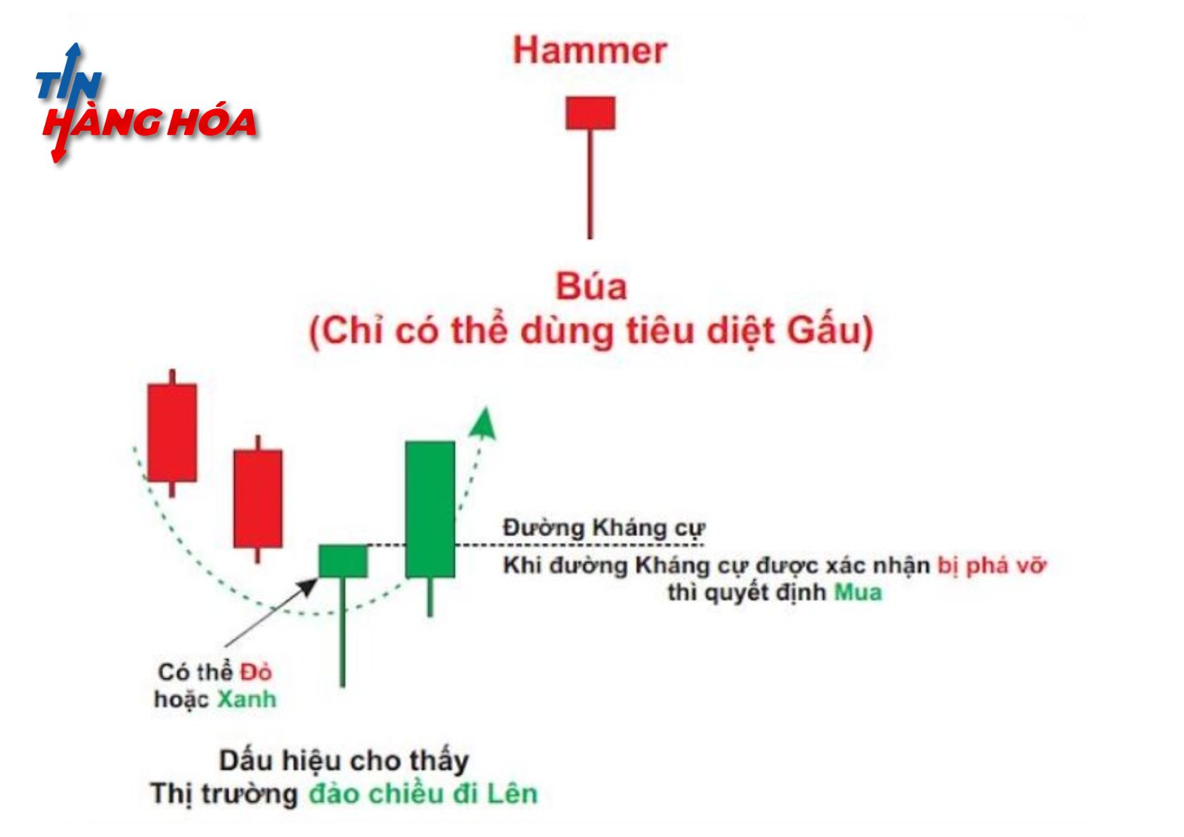 M&ocirc; h&igrave;nh nến b&uacute;a