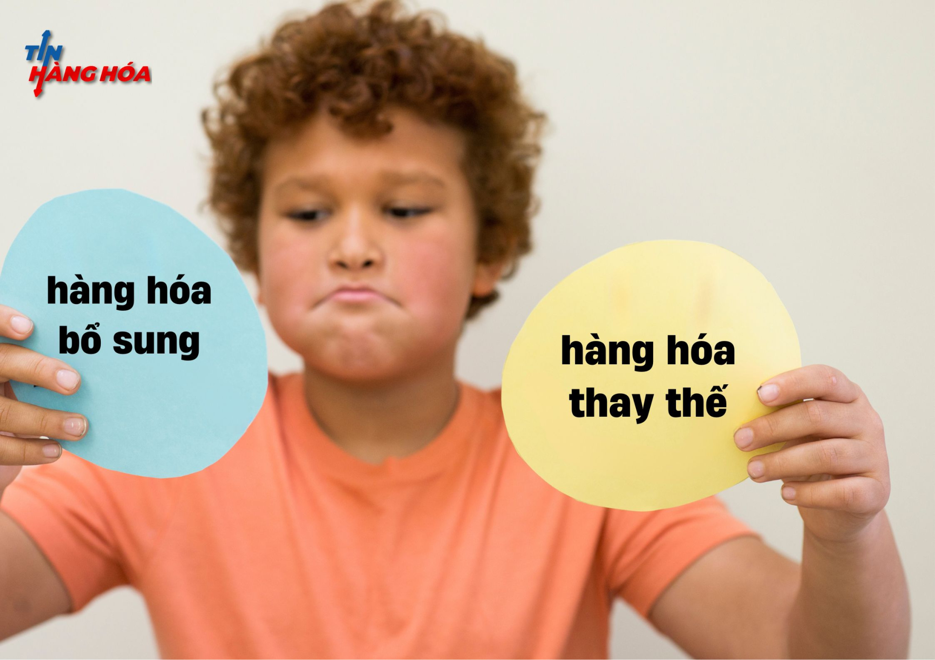 Ph&acirc;n biệt h&agrave;ng h&oacute;a bổ sung v&agrave; h&agrave;ng h&oacute;a thay thế