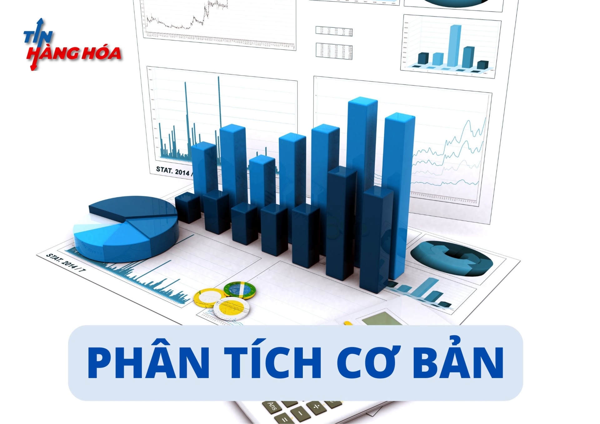 Ph&acirc;n t&iacute;ch cơ bản l&agrave; g&igrave;