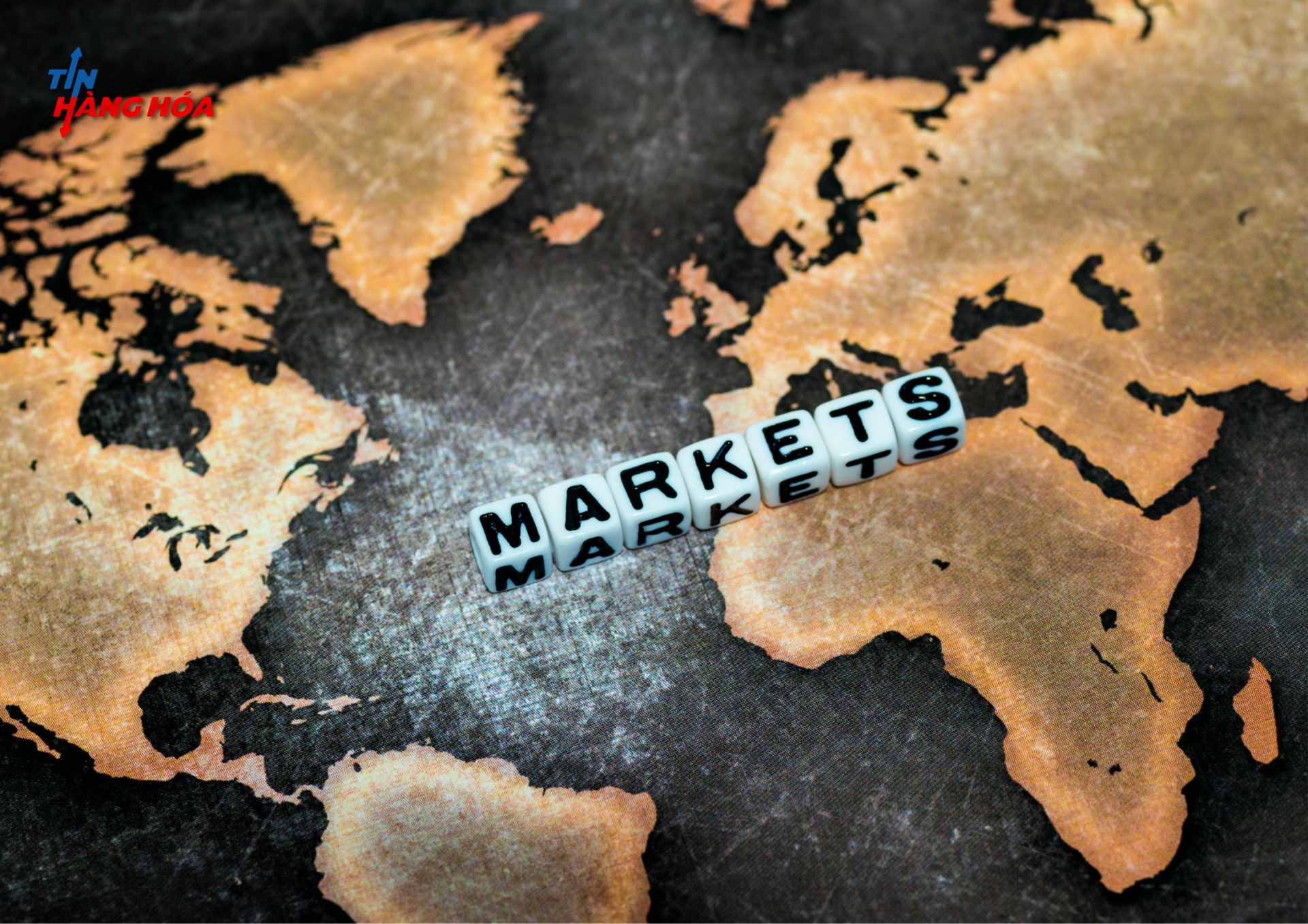 T&igrave;m hiểu về thị trường ph&aacute;i sinh thế giới