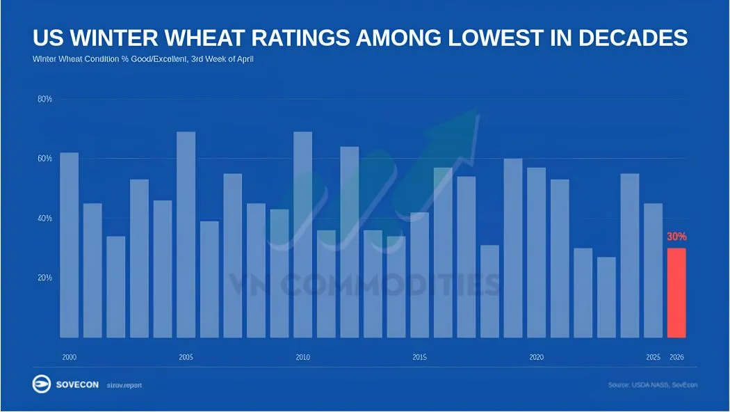 N&ocirc;ng sản v&agrave; nguy&ecirc;n liệu c&ocirc;ng nghiệp 22/04: L&uacute;a m&igrave; Mỹ suy yếu do thời tiết, ng&ocirc; Brazil đối mặt rủi ro năng suất, c&agrave; ph&ecirc; t&iacute;ch lũy trong xu hướng giảm