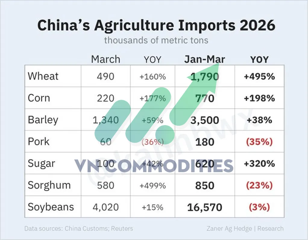 N&ocirc;ng sản v&agrave; nguy&ecirc;n liệu c&ocirc;ng nghiệp 21/04: Xuất khẩu Mỹ t&iacute;ch cực nhưng l&uacute;a m&igrave; suy yếu v&igrave; thời tiết, c&agrave; ph&ecirc; hồi kỹ thuật trong xu hướng giảm
