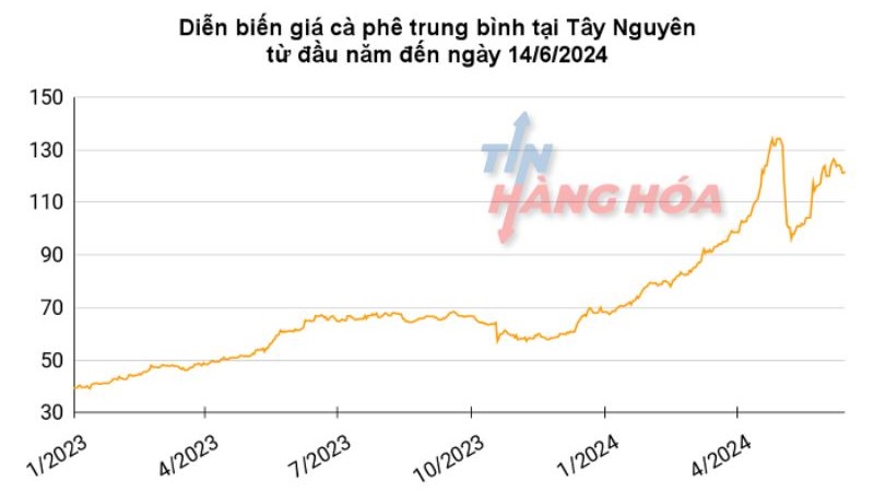 Gi&aacute; c&agrave; ph&ecirc; trung b&igrave;nh tại T&acirc;y Nguy&ecirc;n