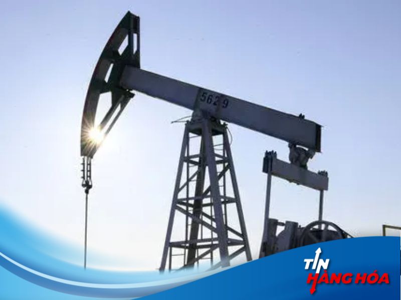 Gi&aacute; dầu h&ocirc;m nay 25/02/2026: Dầu th&ocirc; giảm mạnh do kỳ vọng thỏa thuận Mỹ &ndash; Iran, thị trường đối mặt &aacute;p lực cung &ndash; cầu v&agrave; thuế quan