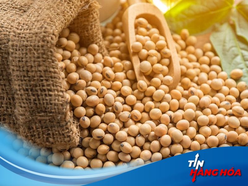 Gi&aacute; đậu tương giảm mạnh