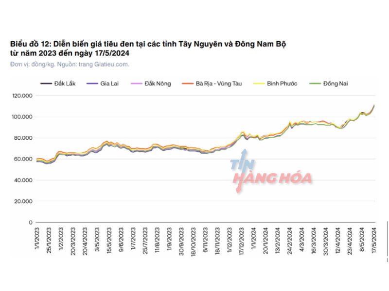 gia-cao-su-tai-san-shfe-tu-dau-nam2024-den-nay