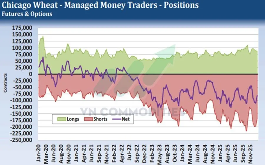 Gi&aacute; l&uacute;a m&igrave; 
