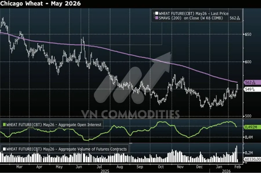 Đ&agrave; tăng gi&aacute; l&uacute;a m&igrave; đang kh&aacute; mong manh 