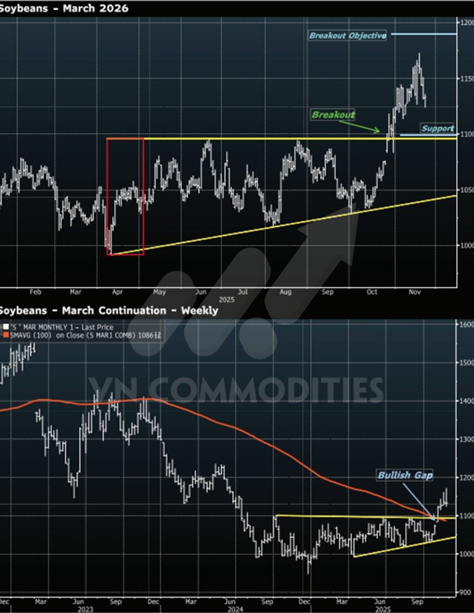 biểu đồ giá đậu tương kỳ hạn tháng 3