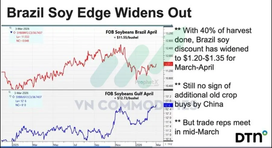 ch&ecirc;nh lệch gi&aacute; đậu tương Brazil v&agrave; Mỹ 
