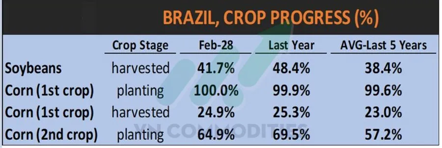 Tiến độ m&ugrave;a vụ Brazil 