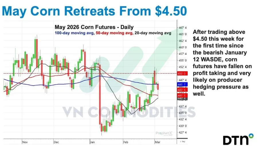gi&aacute; ng&ocirc; suy yếu 