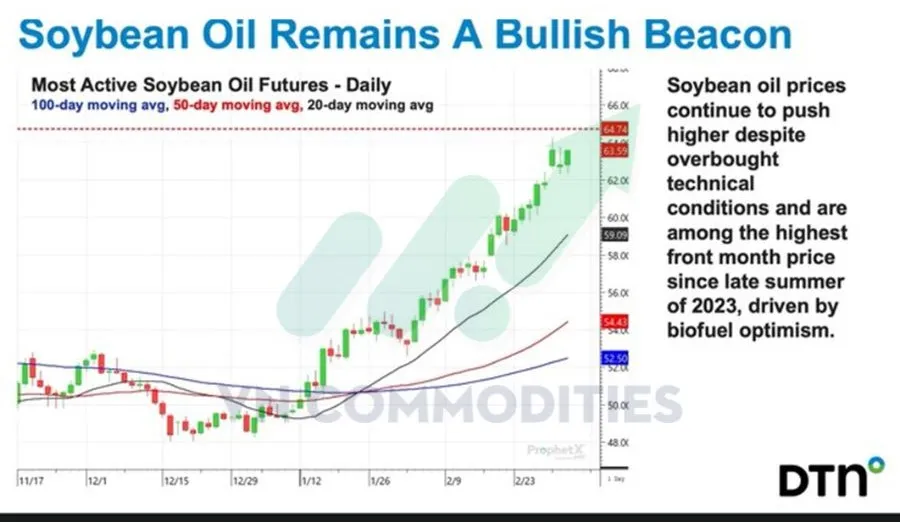 dầu đậu tương duy tr&igrave; xu hướng tăng 