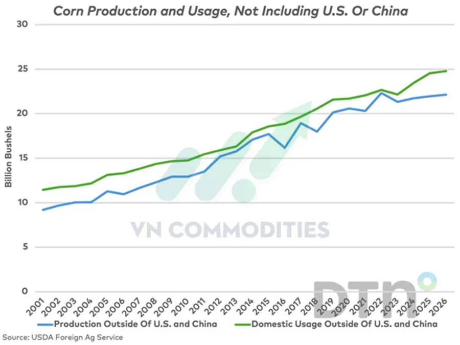 nhu cầu ti&ecirc;u thụ ng&ocirc; gia tăng 