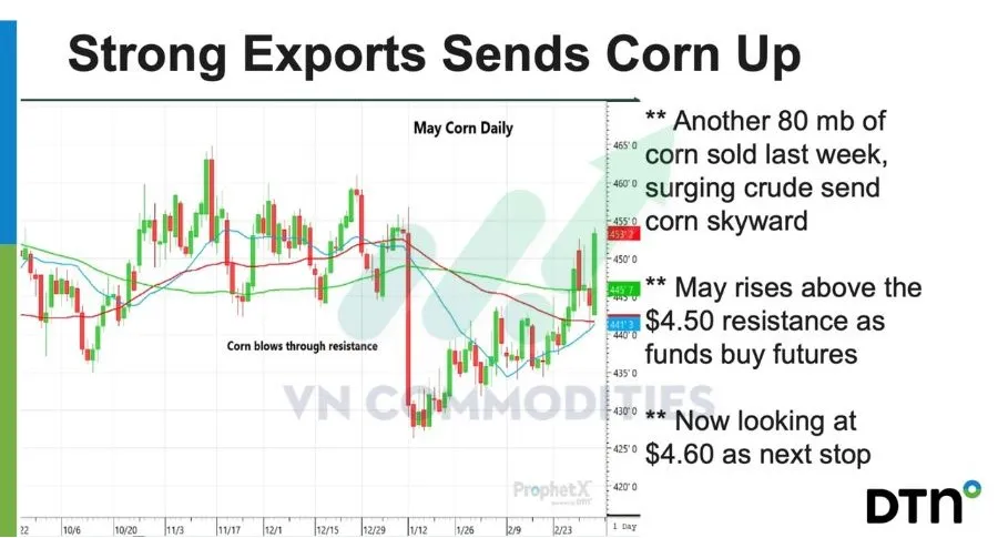 Gi&aacute; ng&ocirc; kỳ hạn th&aacute;ng 5