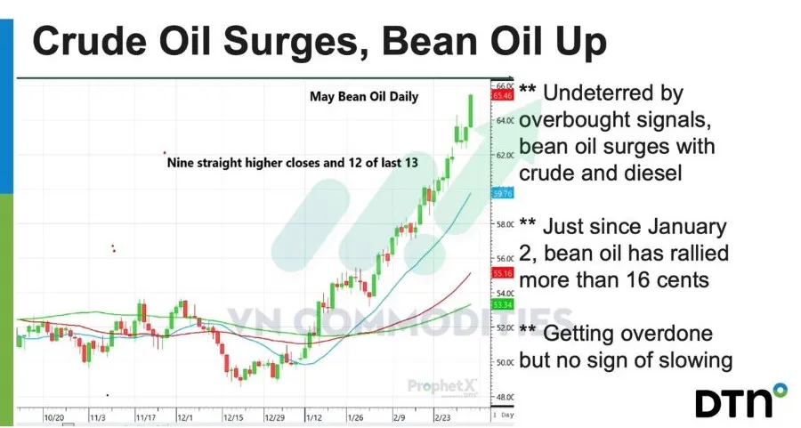 Gi&aacute; dầu đậu tương kỳ hạn th&aacute;ng 5