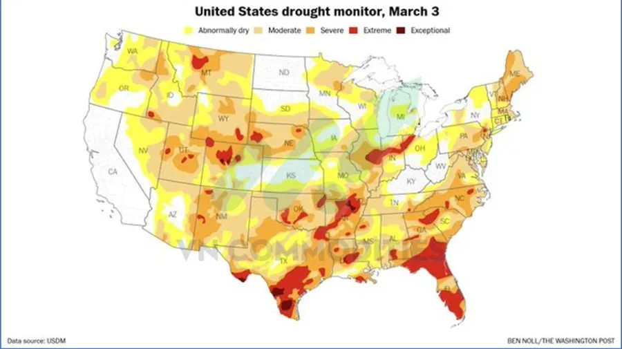 N&ocirc;ng sản Mỹ đang trong t&igrave;nh trạng kh&ocirc; hạn
