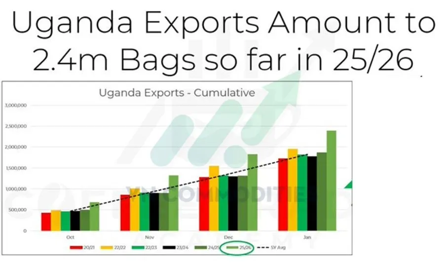 Xuất khẩu c&agrave; ph&ecirc; Uganda 