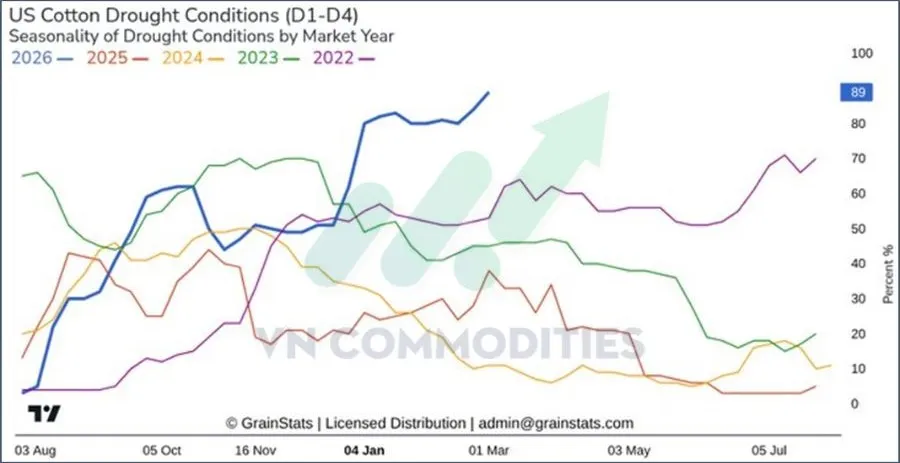 B&ocirc;ng Mỹ chịu hạn h&aacute;n 