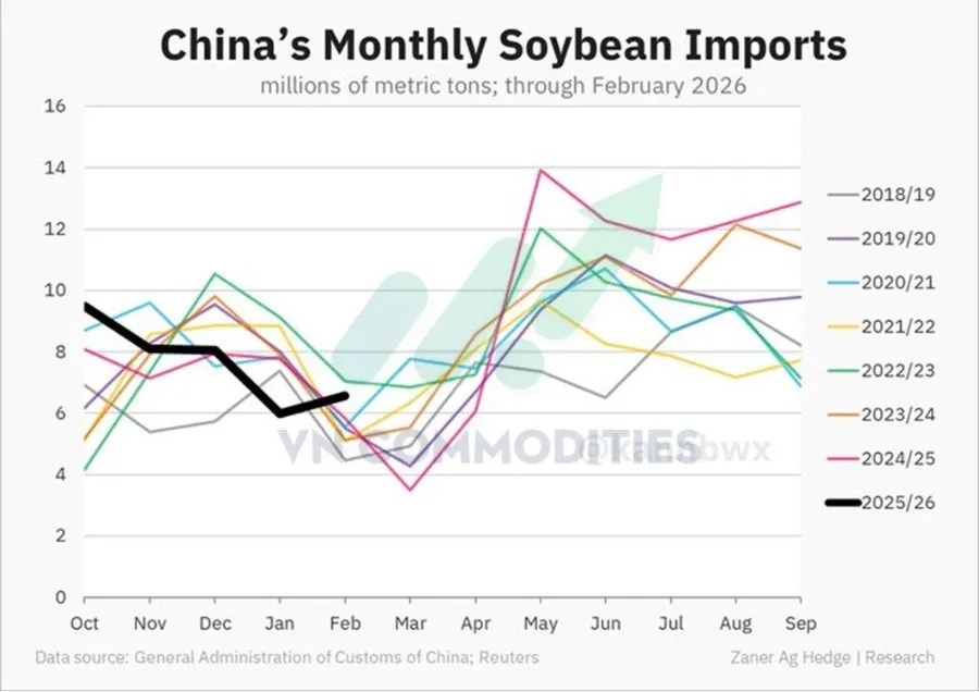 Dữ liệu nhập khẩu đậu tương Trung Quốc