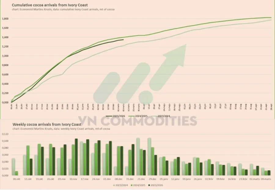 dữ liệu ca cao cập cảng Bờ Biển Ng&agrave; 