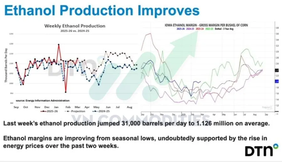 Sản lượng ethanol Mỹ phục hồi 